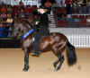 El Aprendiz - Spectrum 2007 1st Place cropped.jpg (154514 bytes)