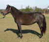La Divina de Colores 11212006 046 (7).jpg (54134 bytes)
