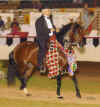 La Millennia - 2004 Grand National Champion A'O Fino Mare.jpg (83972 bytes)